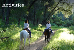 Amenities